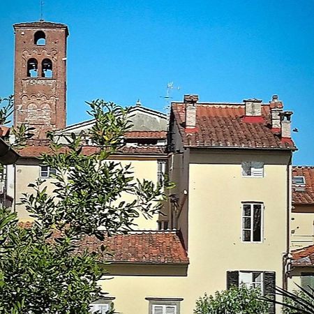 La Butterfly Guest Apartment Lucca Exteriér fotografie