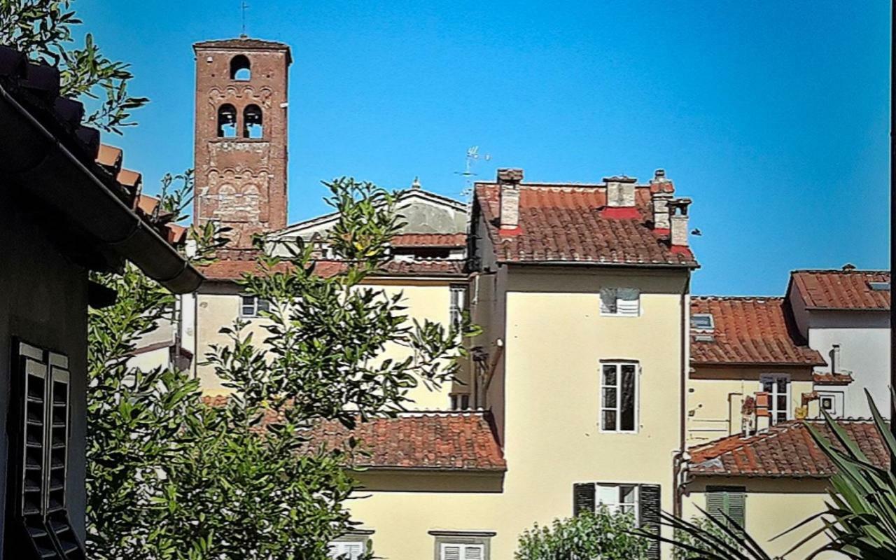 La Butterfly Guest Apartment Lucca Exteriér fotografie